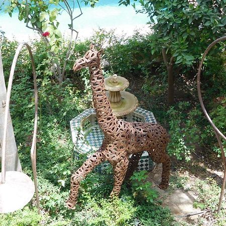 Palais Oumensour Bed & Breakfast Taroudant Luaran gambar